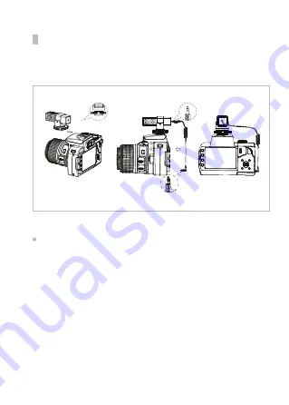 7RYMS MinBo Mini Скачать руководство пользователя страница 4