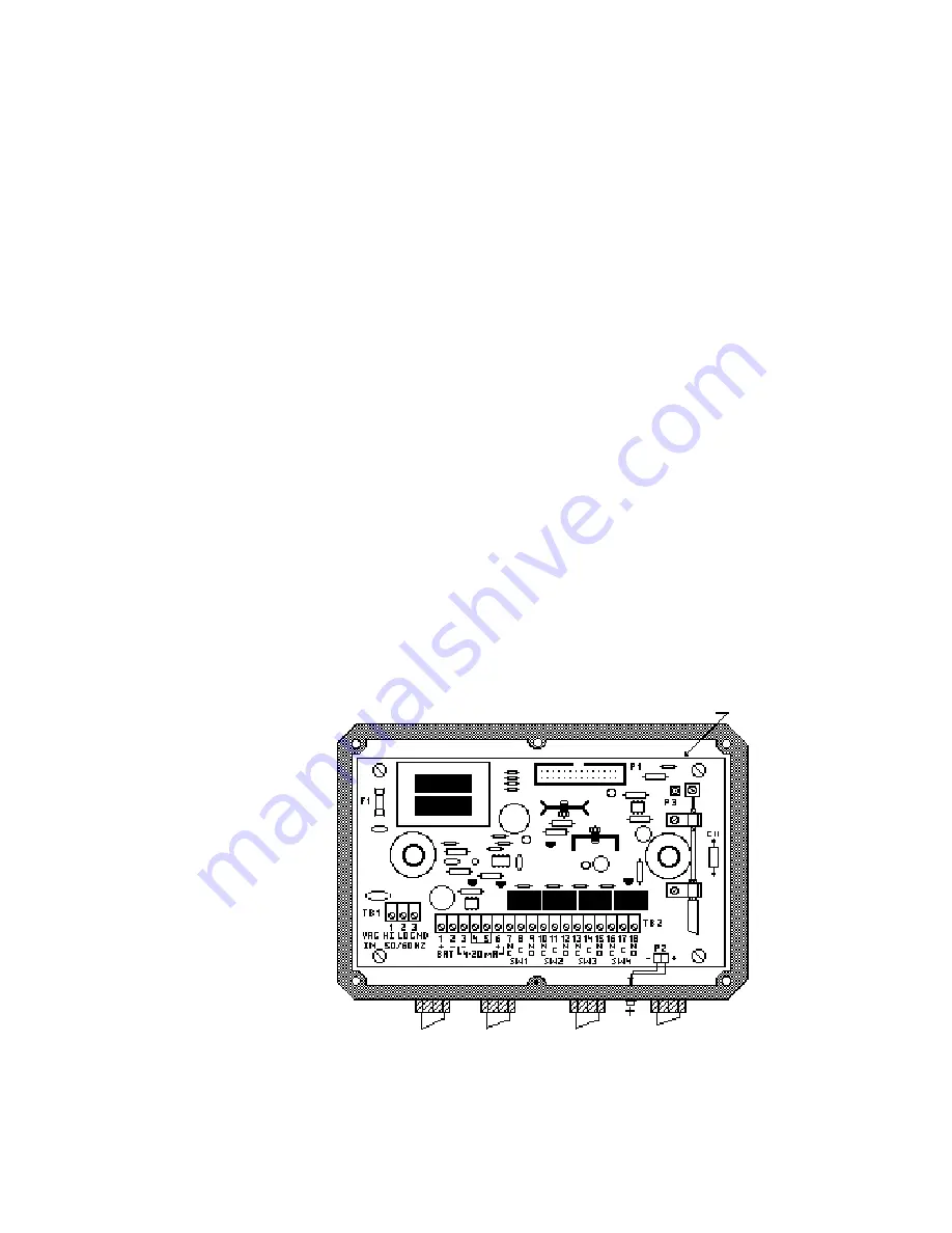 Badger Meter 2100 Manual Download Page 5