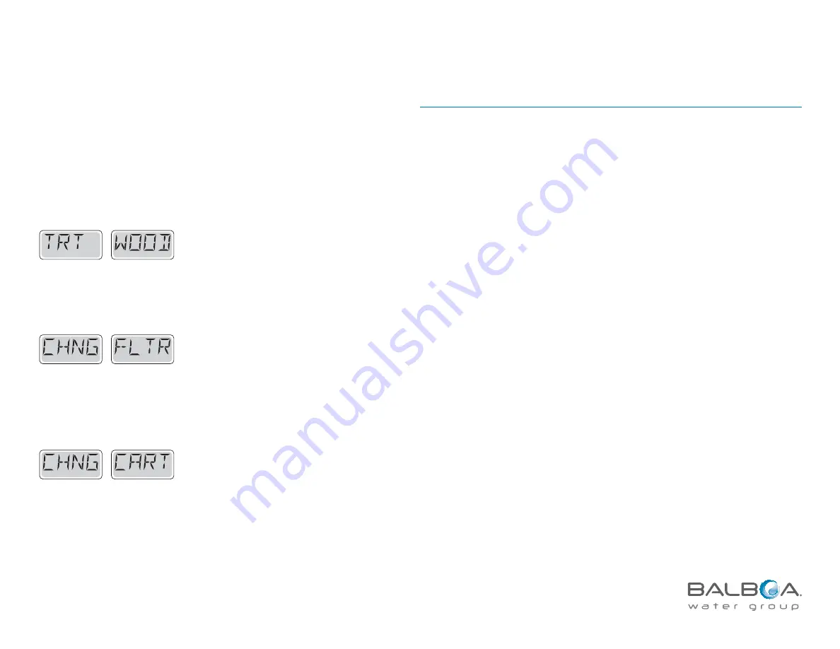 Balboa Revolution System Overview Manual Download Page 67