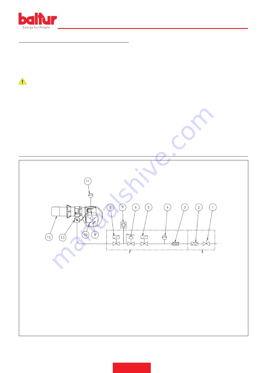 Balluff TBG 80 LX MC Instruction Manual For Installation, Use And Maintenance Download Page 13