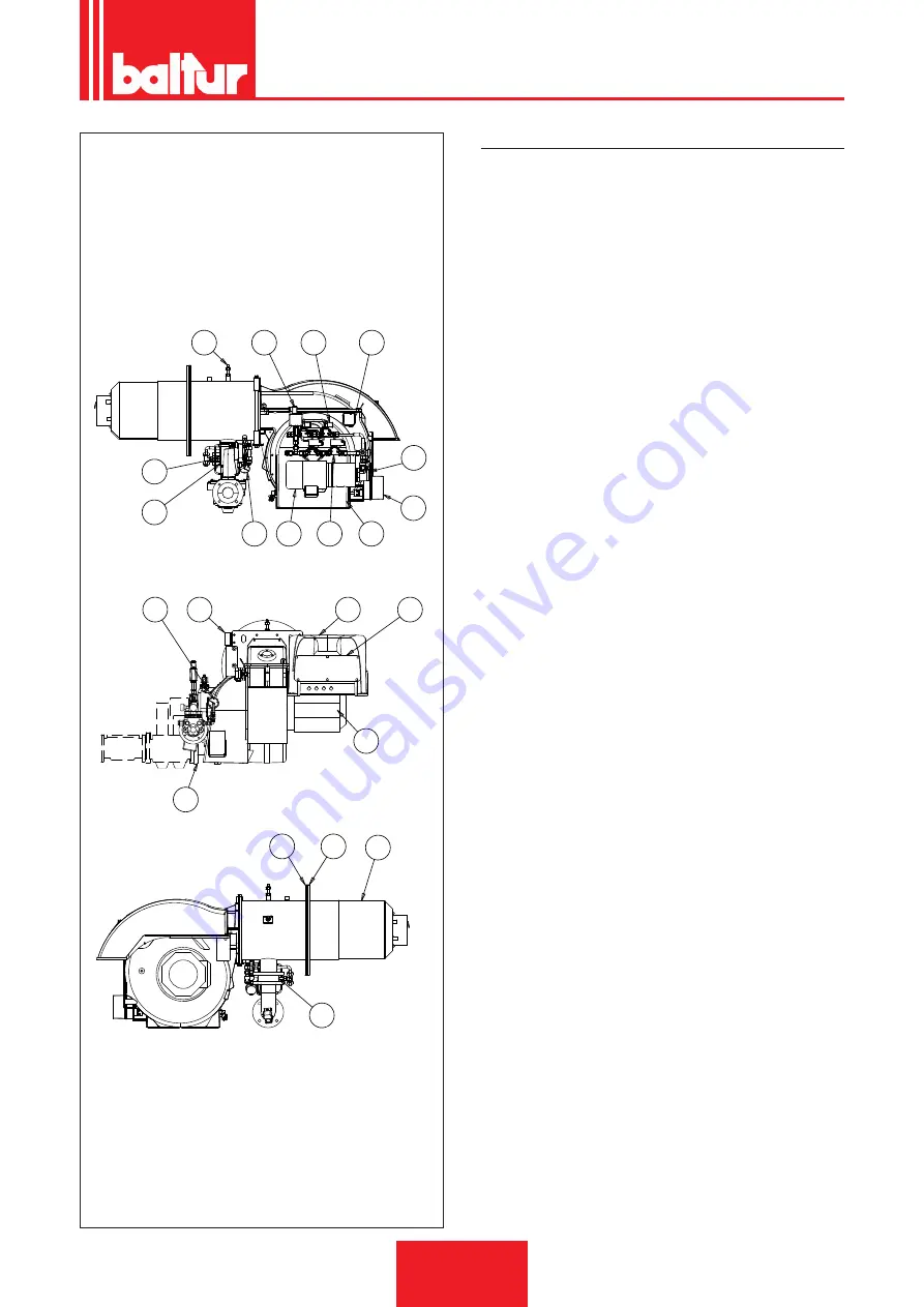 baltur TBML 350 ME Скачать руководство пользователя страница 55