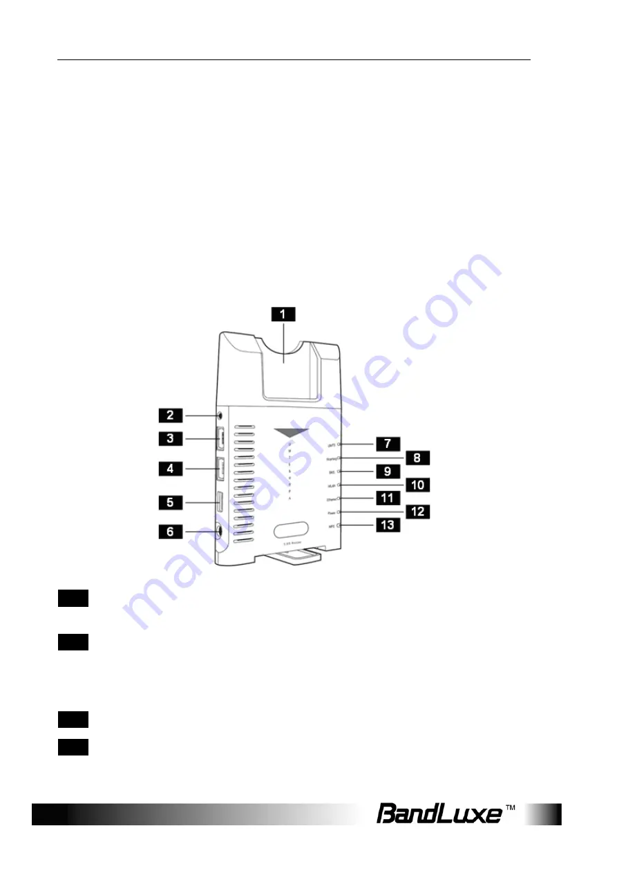 BandLuxe R100 User Manual Download Page 6