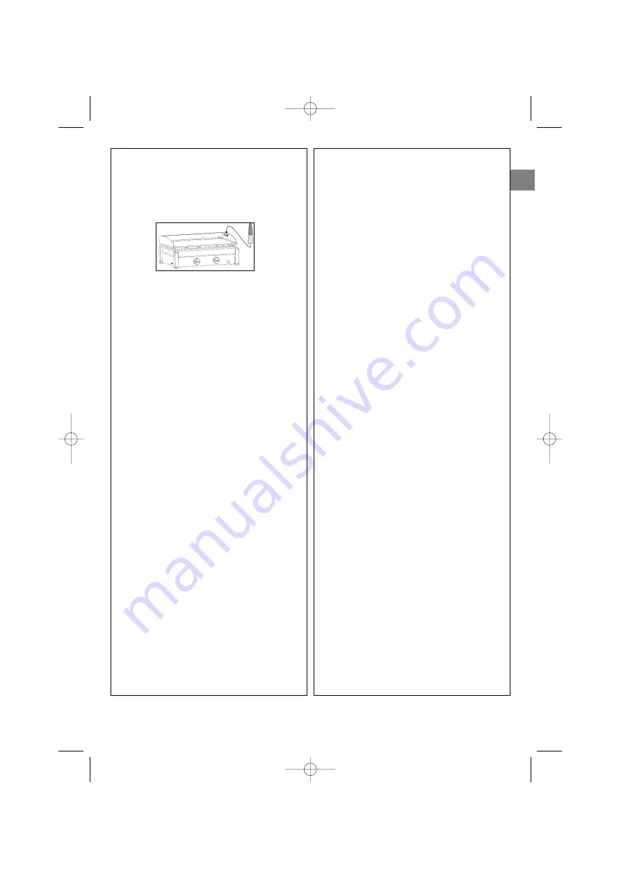 Campingaz Plancha L Operation And Maintenance Download Page 53