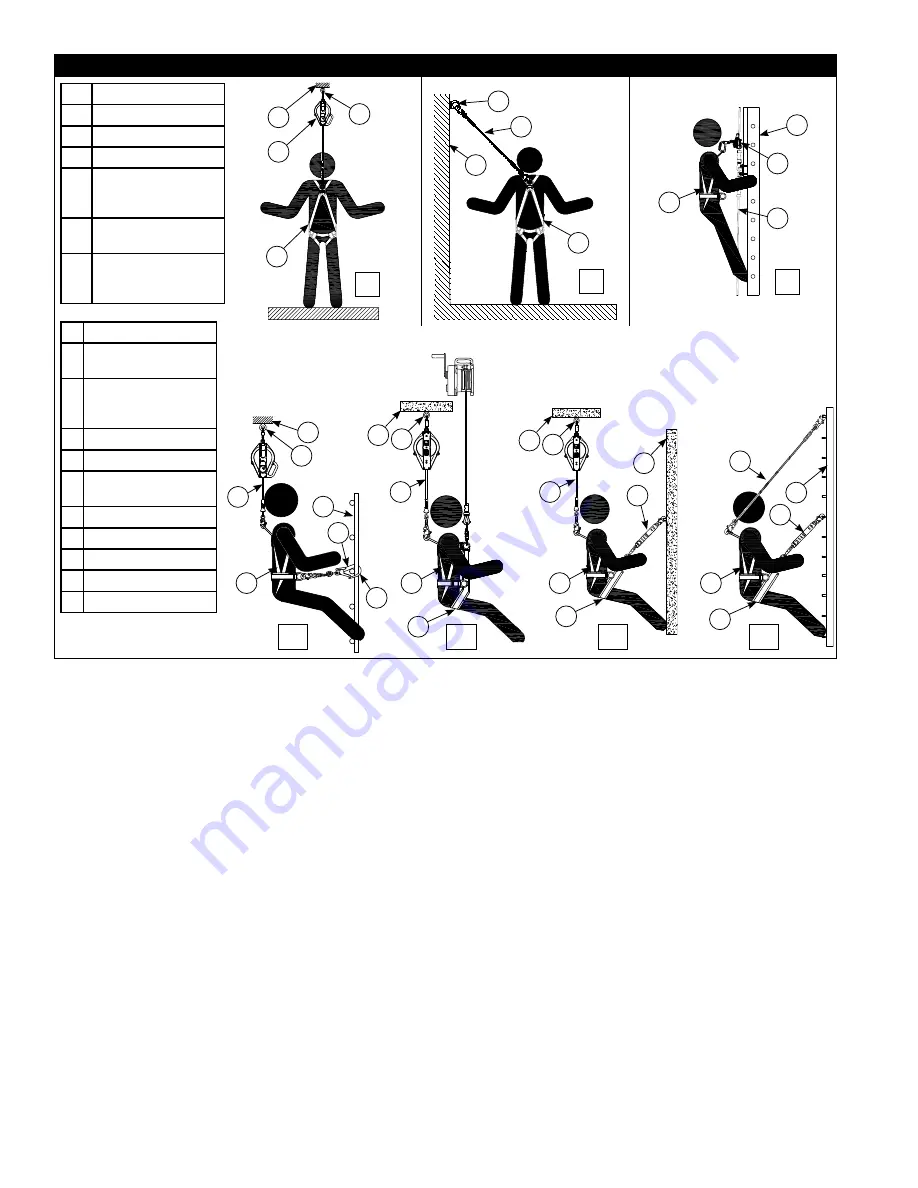 DBI SALA ExoFit NEX X300 User Instruction Manual Download Page 5