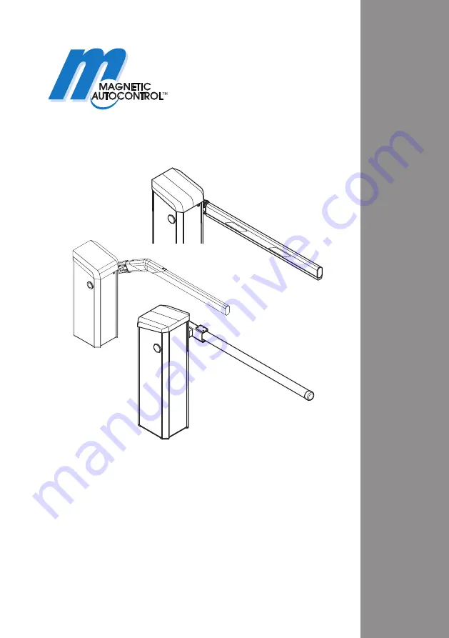 FAAC Magnetic Autocontrol Access Скачать руководство пользователя страница 1