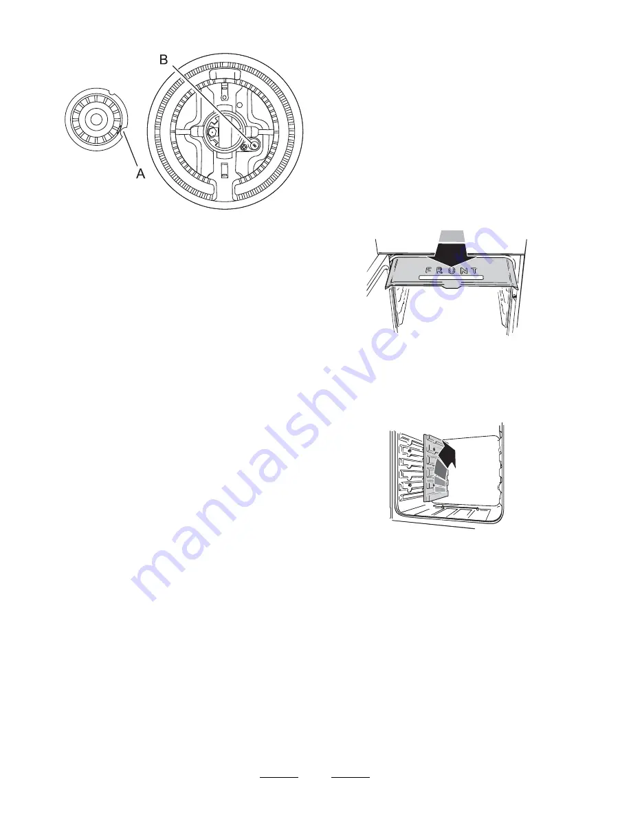 Falcon Elite 110 Dual Fuel User Manual Download Page 19