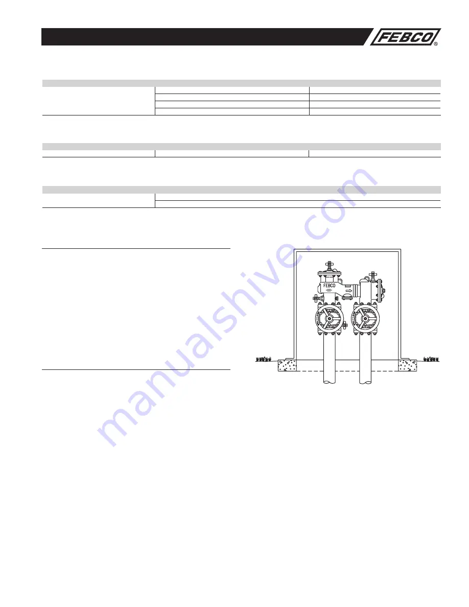 Febco 856 Maintenance Manual Download Page 3