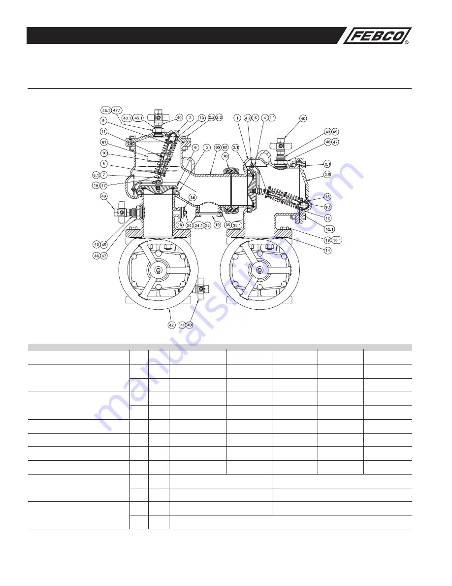 Febco 856 Maintenance Manual Download Page 8