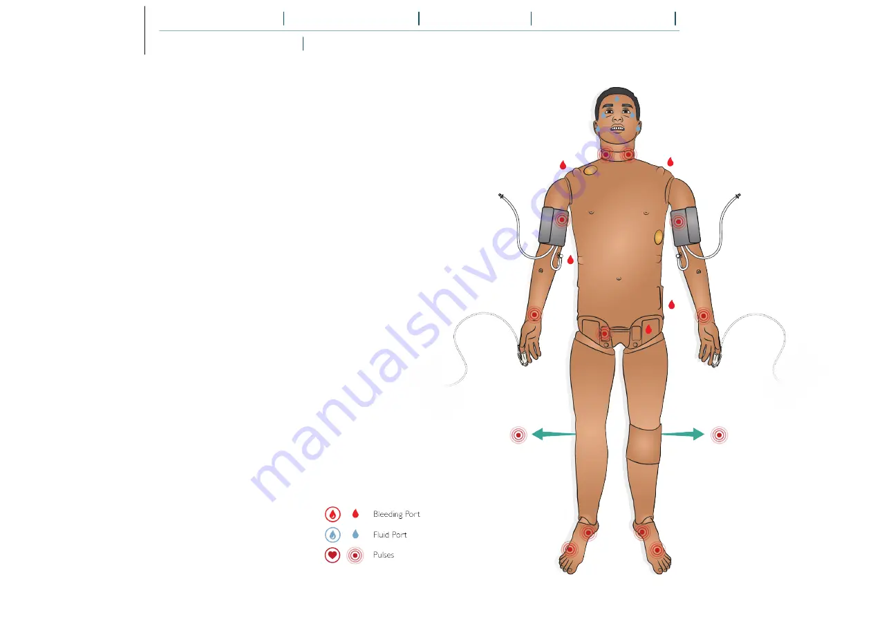 laerdal SimMan 3G PLUS Скачать руководство пользователя страница 8