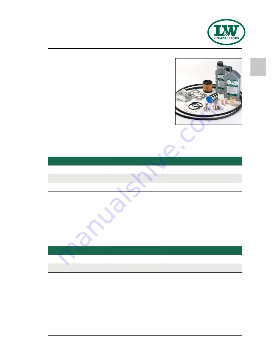 L&W Compressors LW 320 B MC Скачать руководство пользователя страница 42