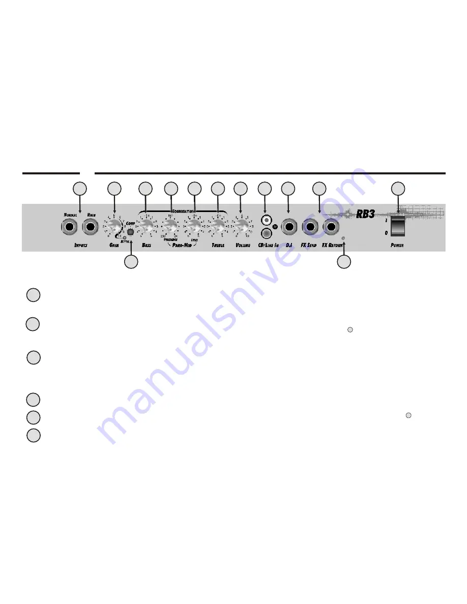 Laney Richter Bass RB3 User Manual Download Page 6