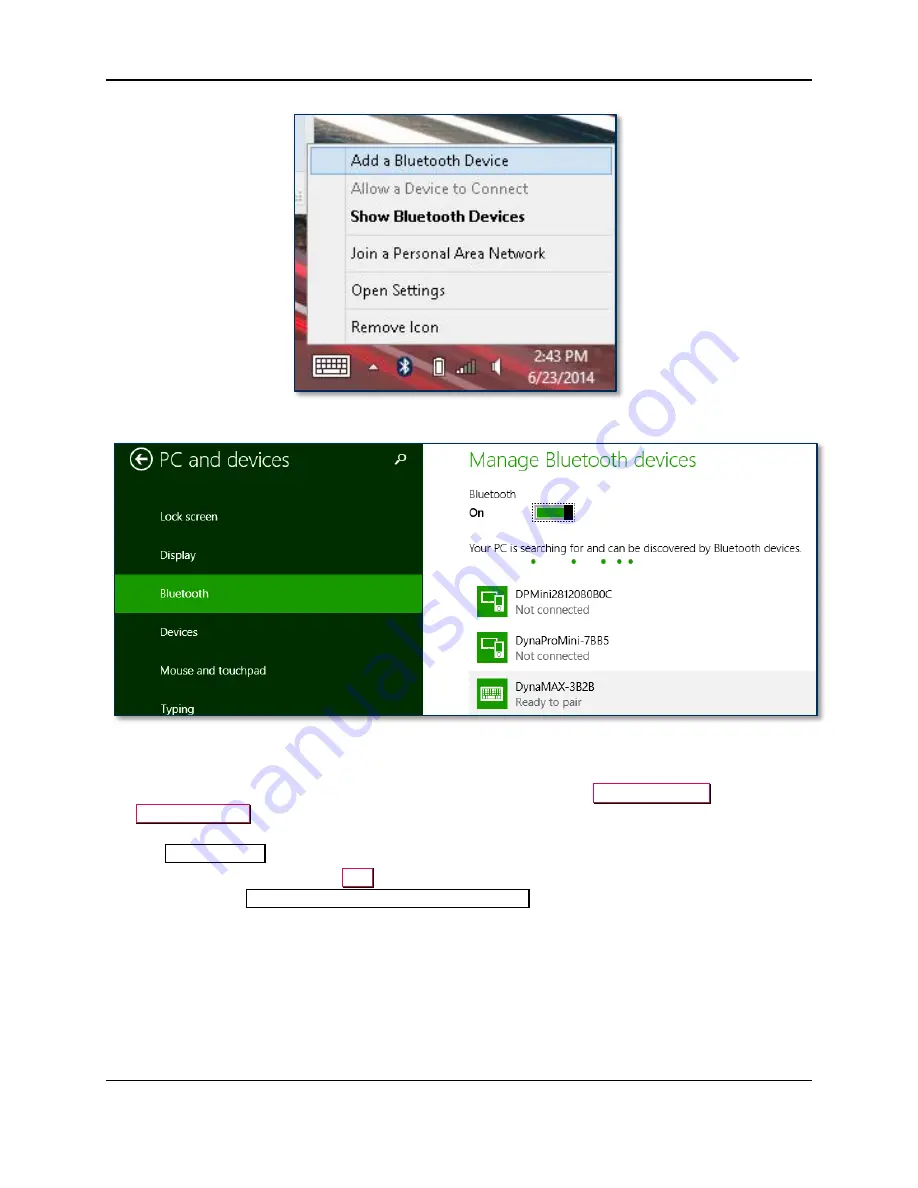 Magtek DYNAMAG Programmer'S Reference Manual Download Page 13