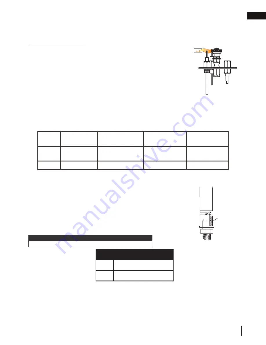 Napoleon GDS60-1N Installation And Operation Manual Download Page 45