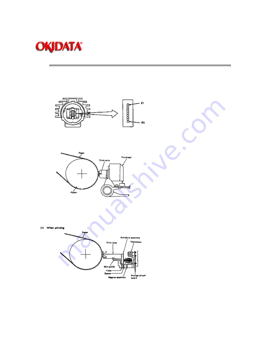 OKIDATA ML320 Turbo Скачать руководство пользователя страница 48