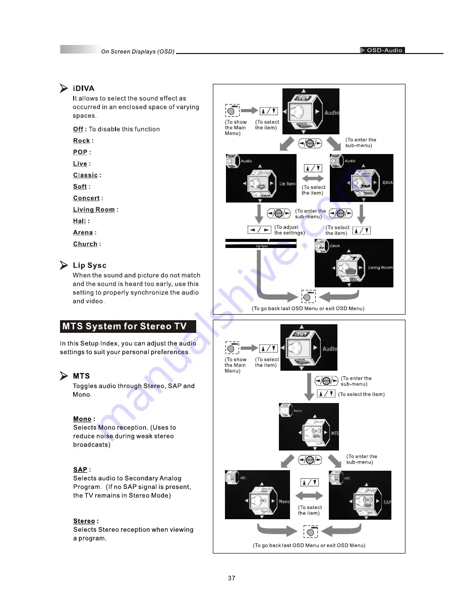 Olevia 237T User Manual Download Page 39