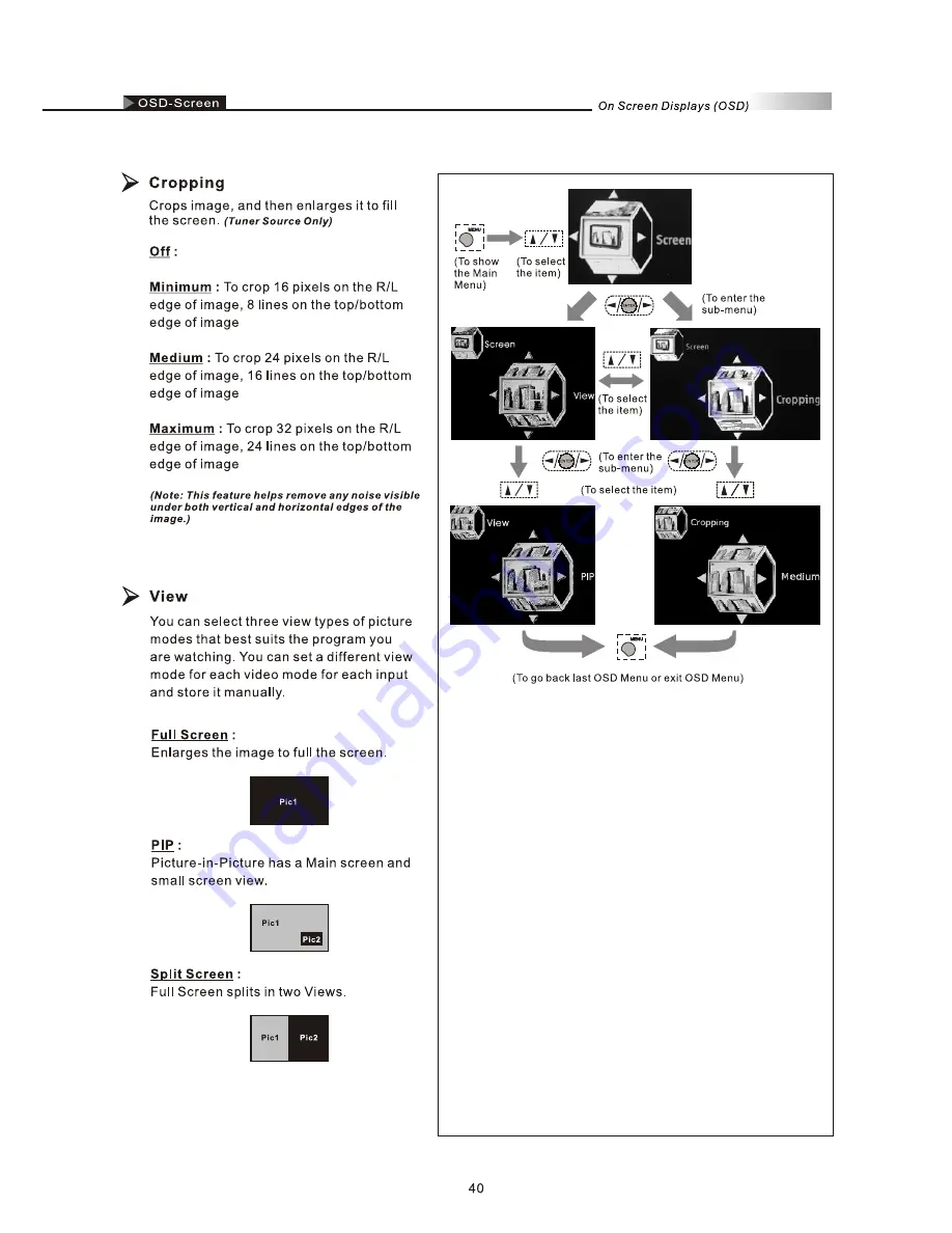 Olevia 237T User Manual Download Page 42