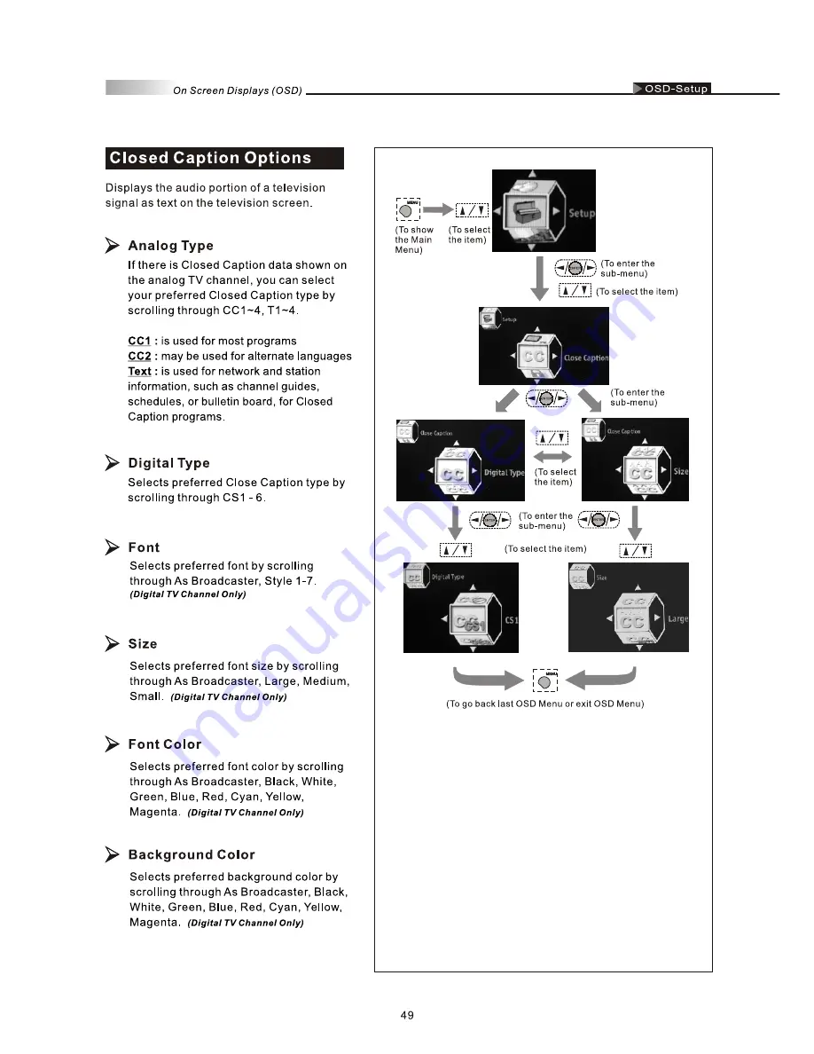 Olevia 237T User Manual Download Page 51