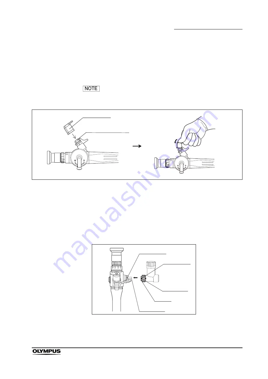 Olympus LF-TP Скачать руководство пользователя страница 31