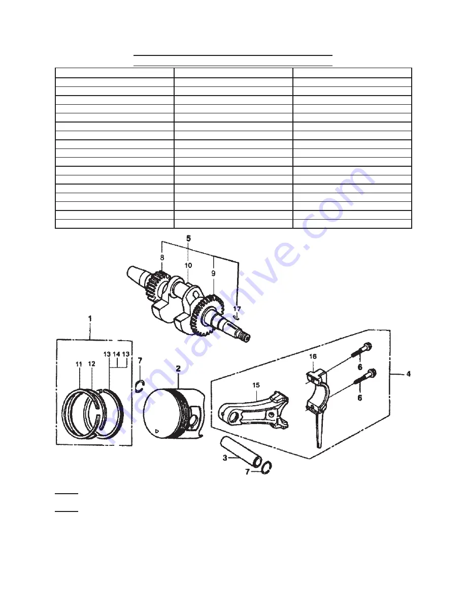 Pacific hydrostar 65078 Set-Up & Operating Manual Download Page 28