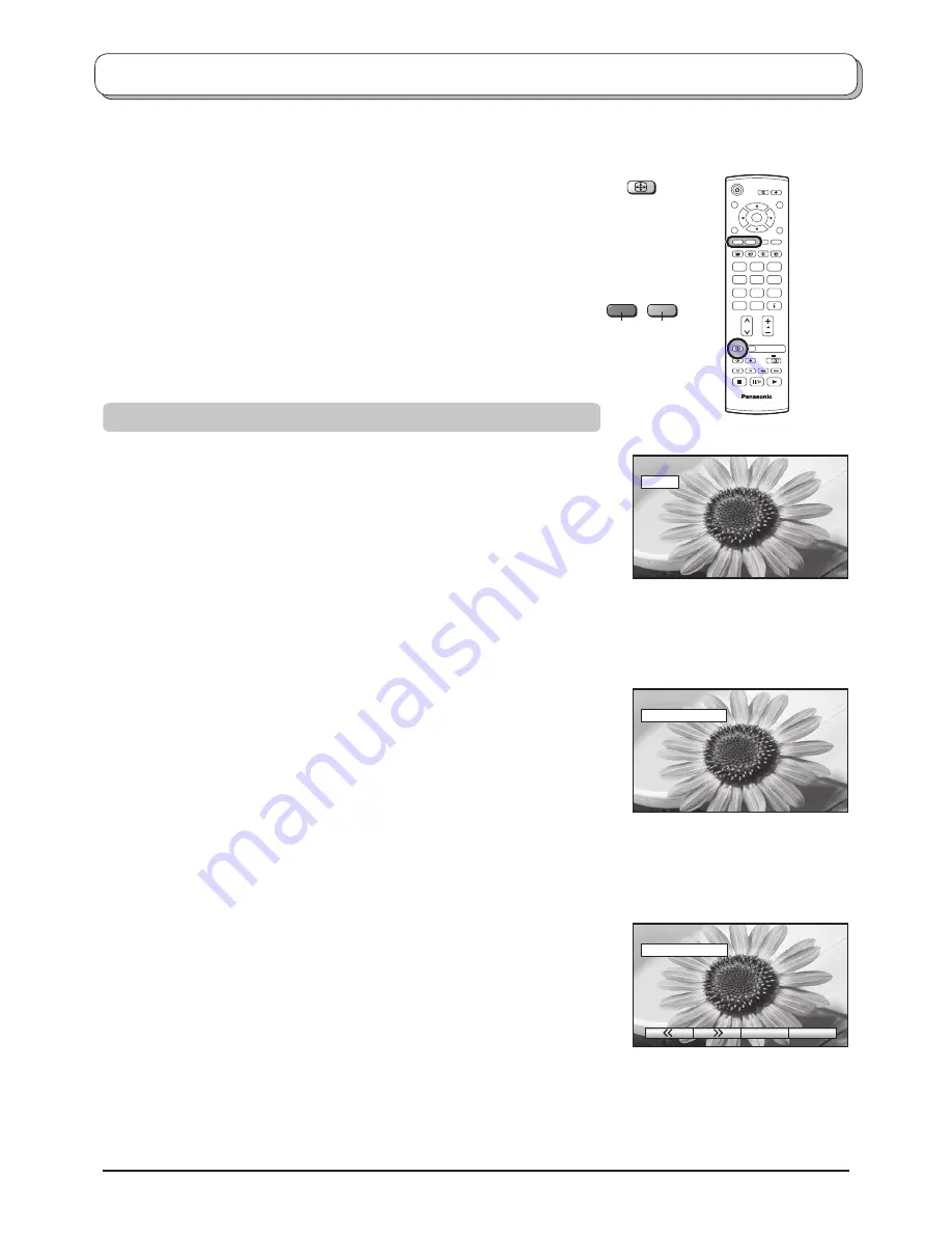 Panasonic TH-42PA50E Operating Instructions Manual Download Page 21