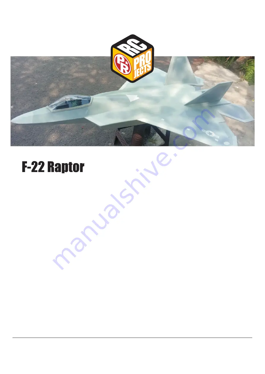 Paper Replika F-22 Raptor Скачать руководство пользователя страница 1