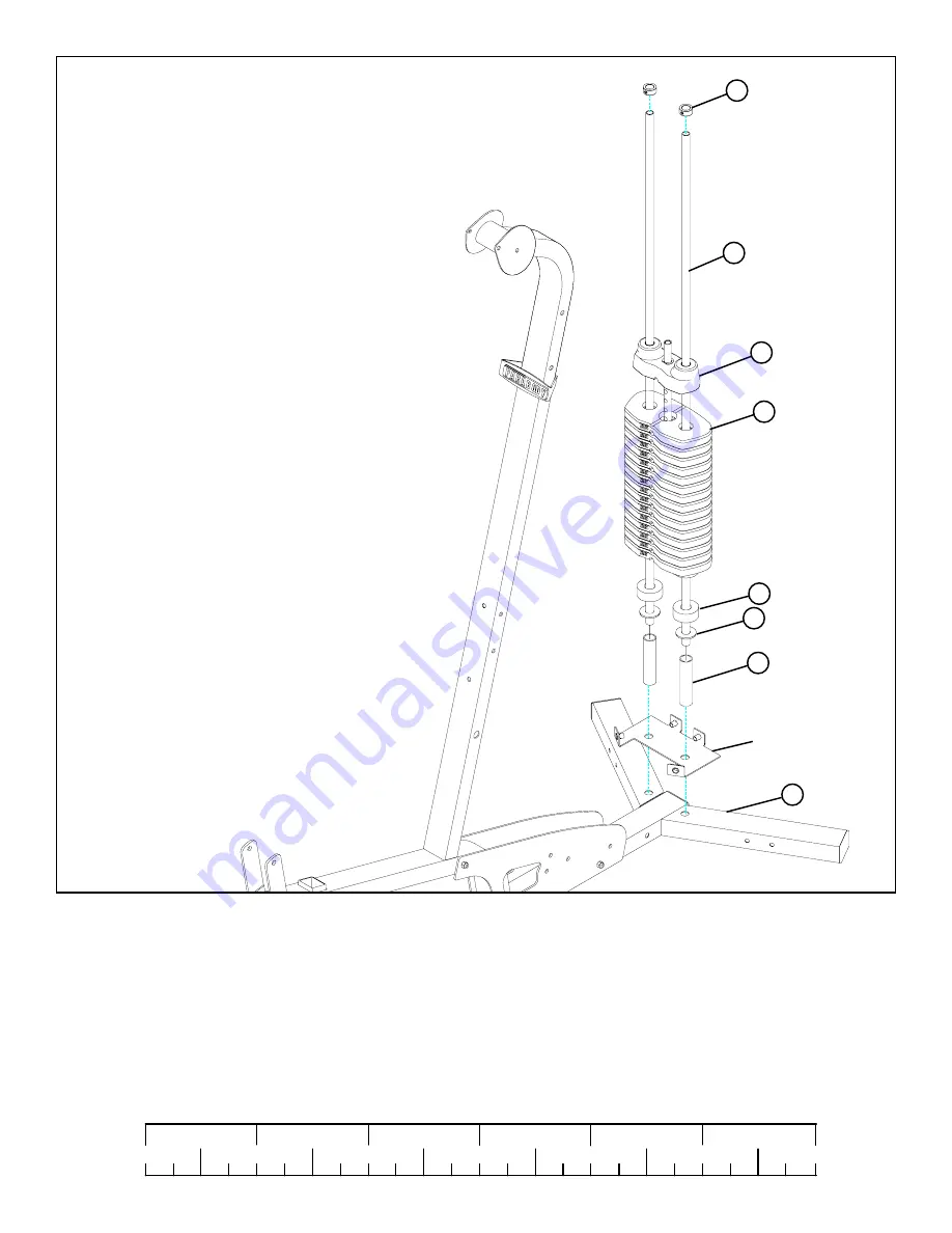 ParaBody 777 User Manual Download Page 8