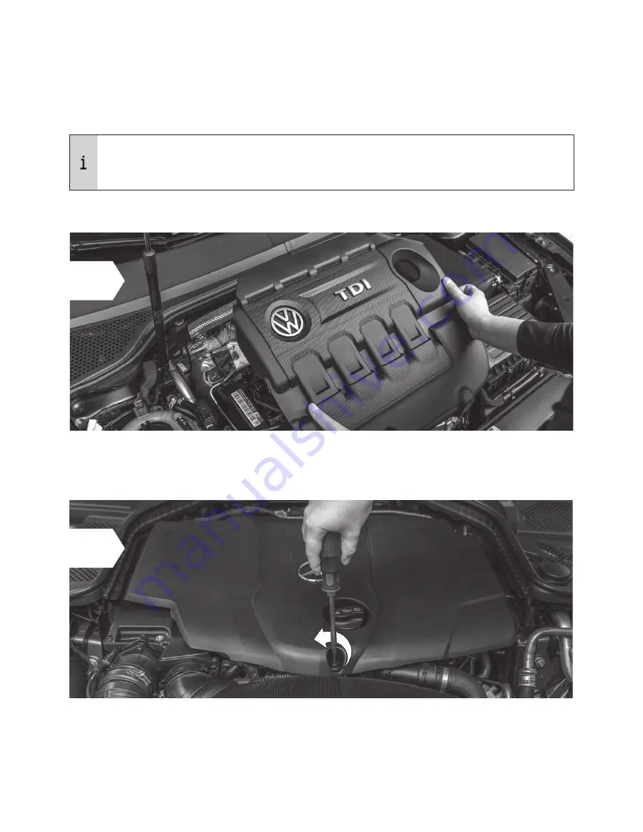 RaceChip RS User Manual Download Page 6