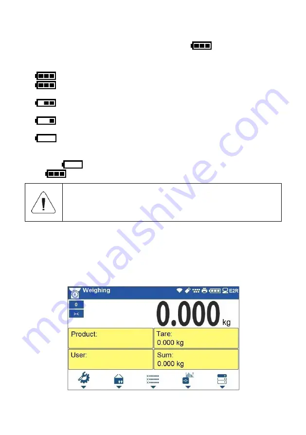 RADWAG C32 User Manual Download Page 19