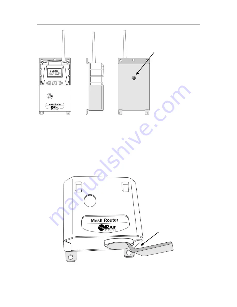 Rae Mesh Router Скачать руководство пользователя страница 48