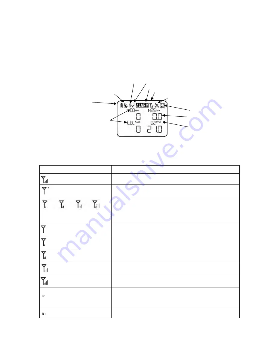 Rae microrae User Manual Download Page 11