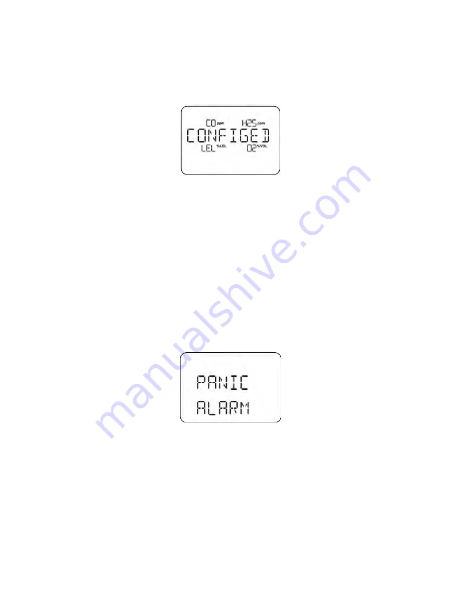 Rae microrae User Manual Download Page 15