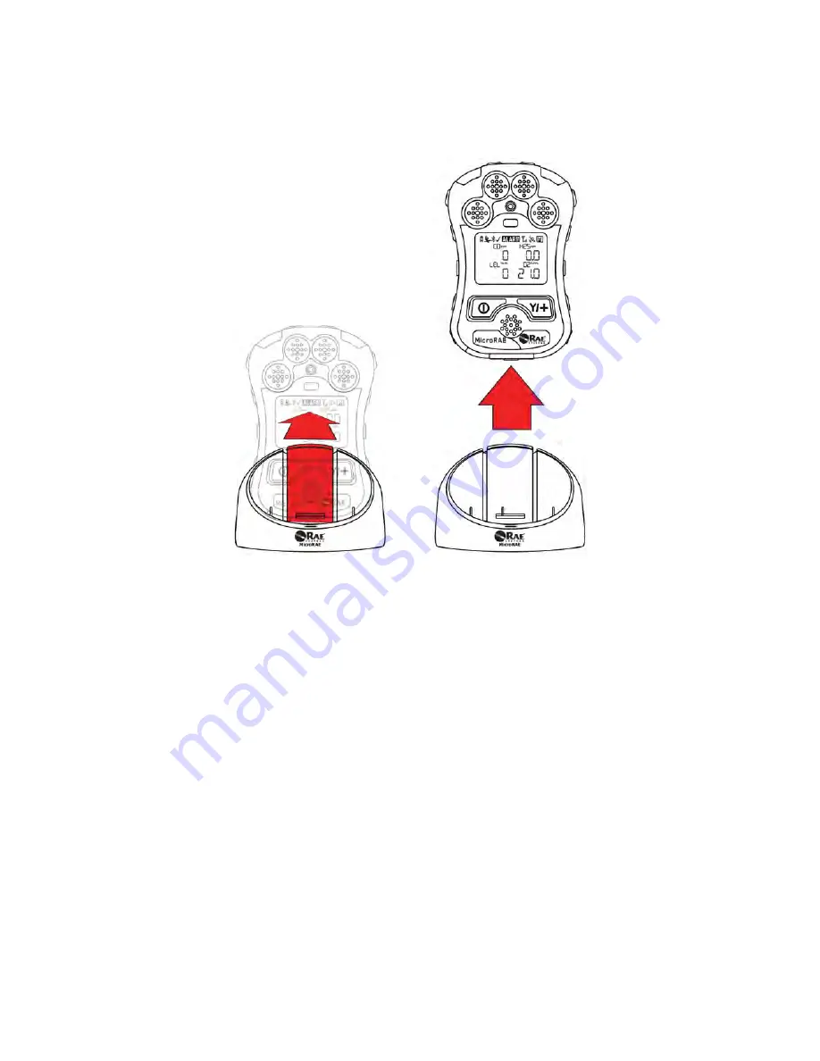 Rae microrae User Manual Download Page 19