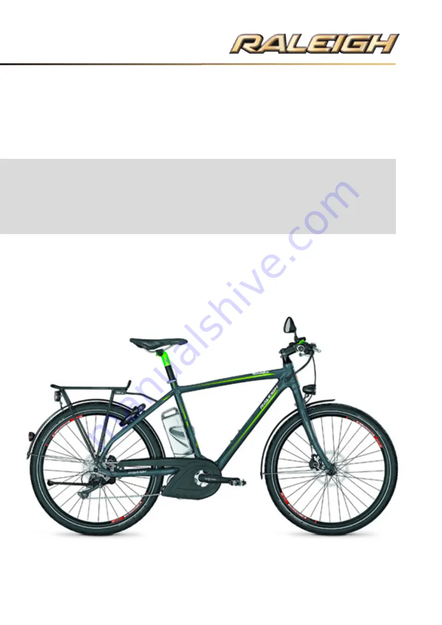 Raleigh Fast Pedelec User Manual Download Page 98