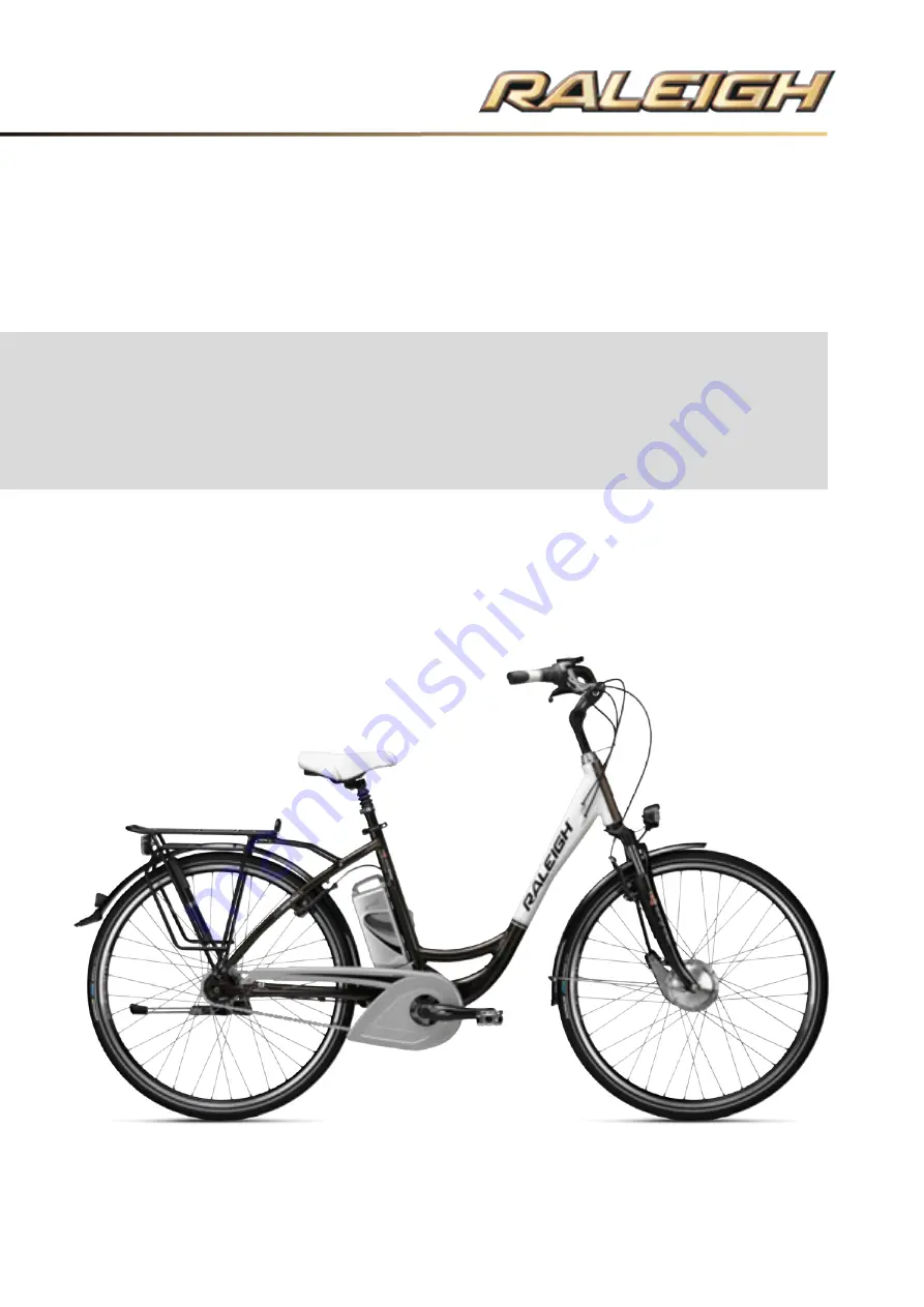 Raleigh Fast Pedelec User Manual Download Page 126