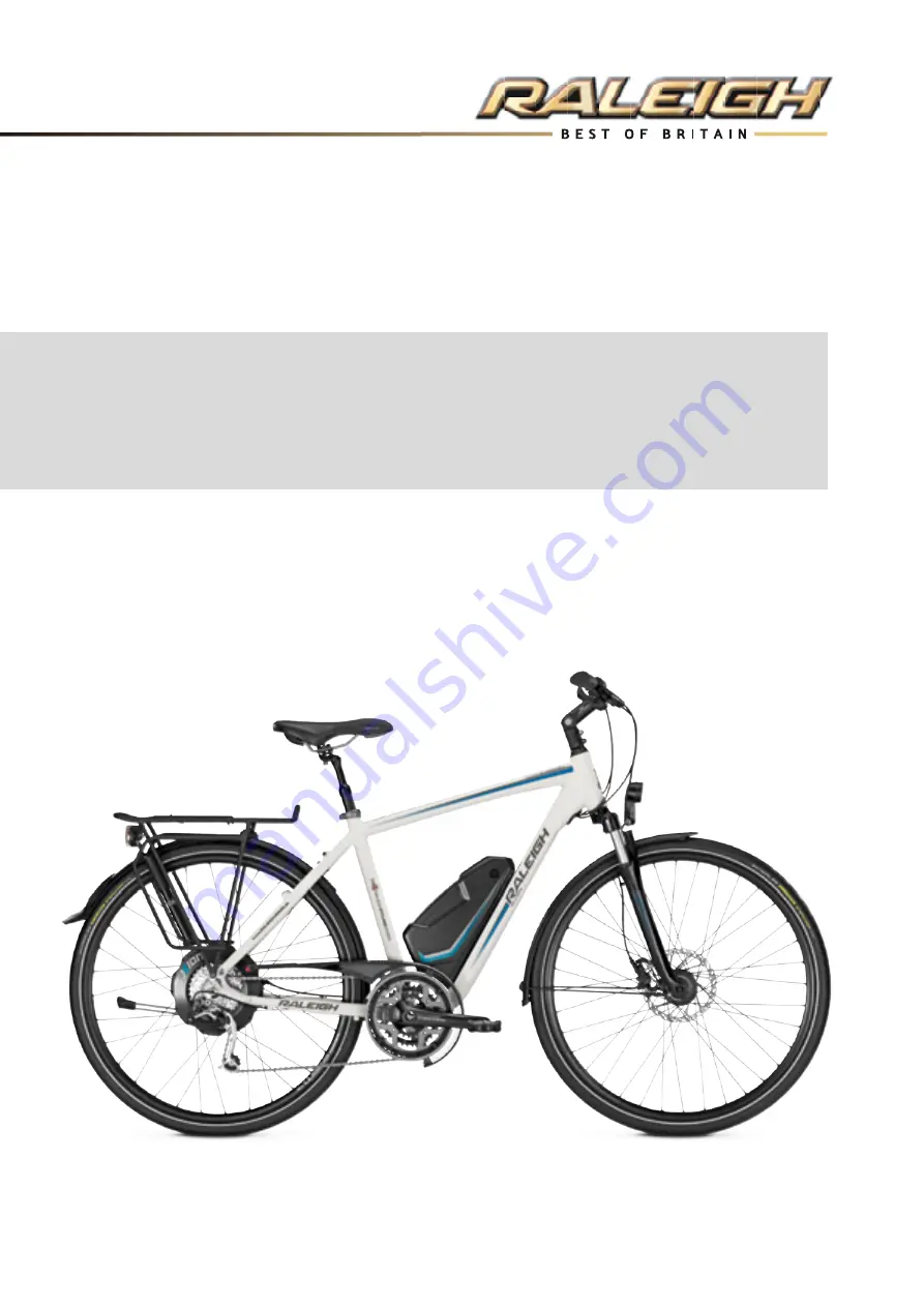 Raleigh Fast Pedelec User Manual Download Page 201