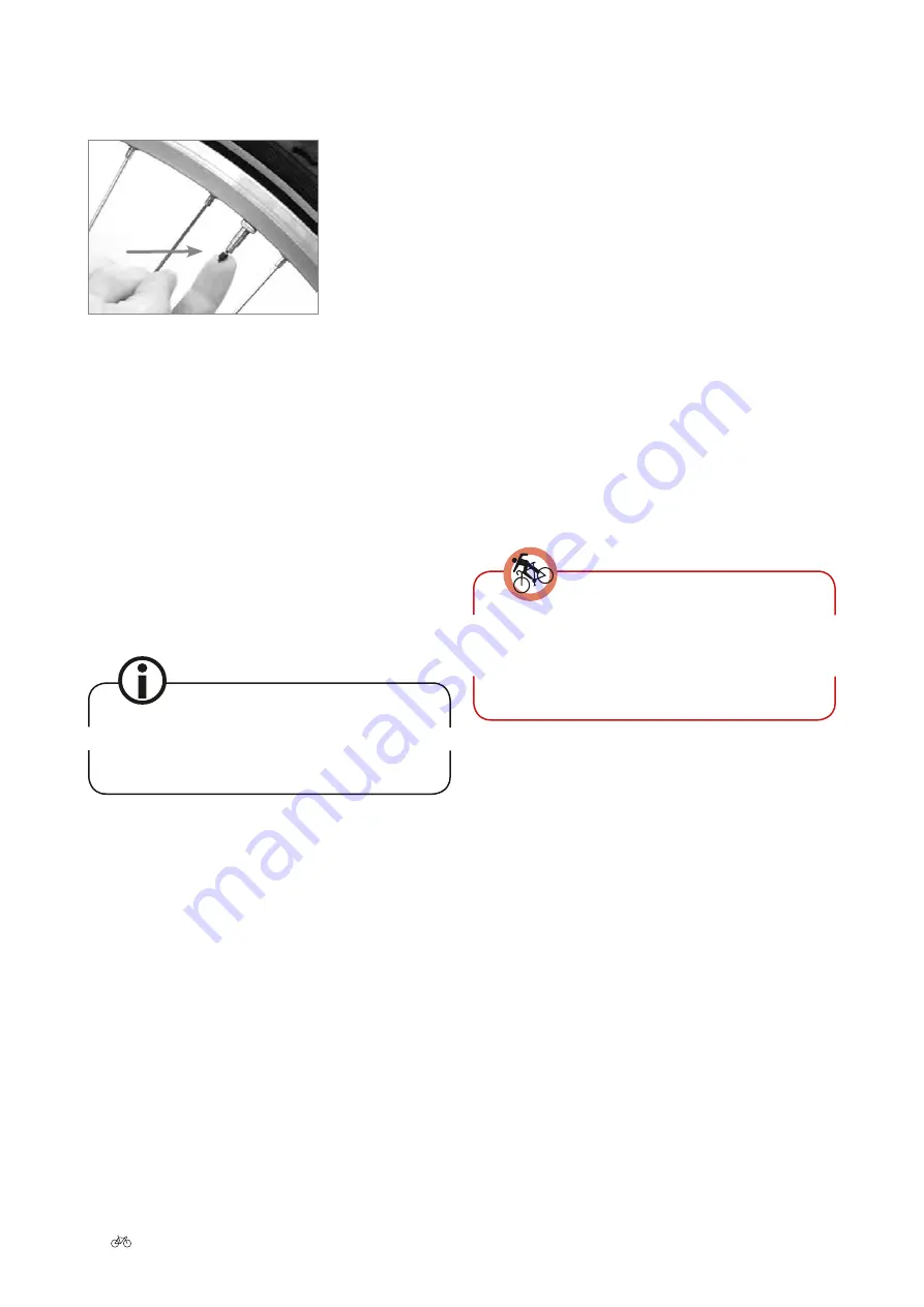 Raleigh IV User Manual Download Page 25