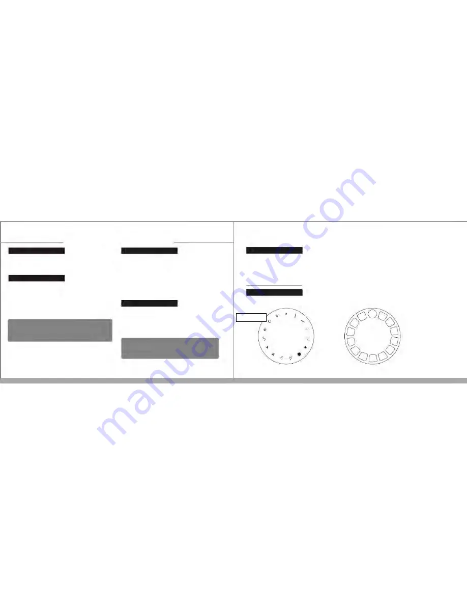 Raptor 2R User Manual Download Page 6