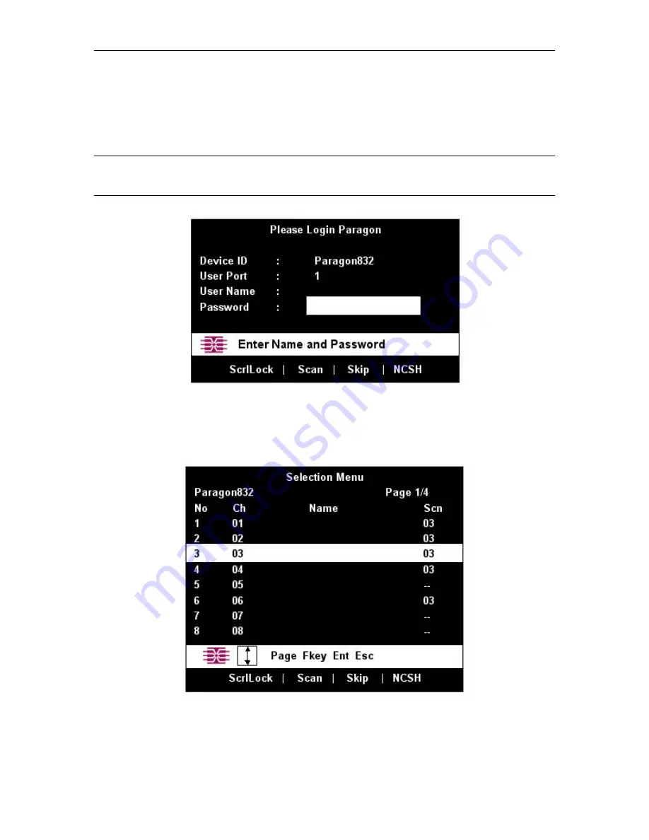 Raritan II User Manual Download Page 17