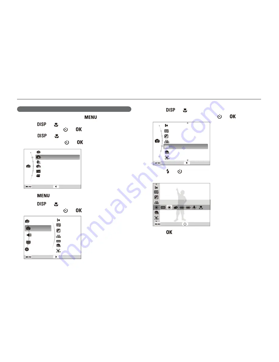 Samsung Vluu PL20 Manual Del Usuario Download Page 21