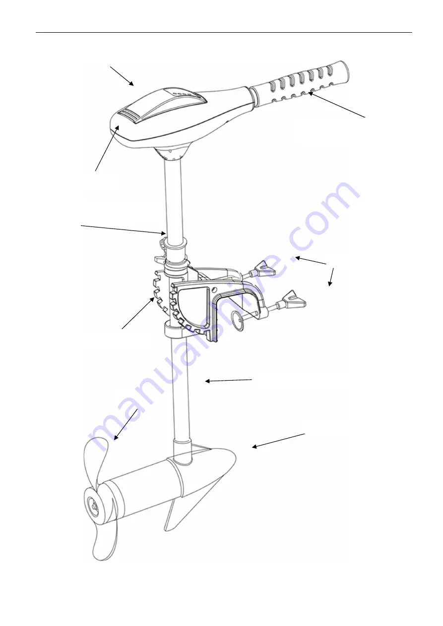 TALAMEX TM30 User Manual Download Page 13