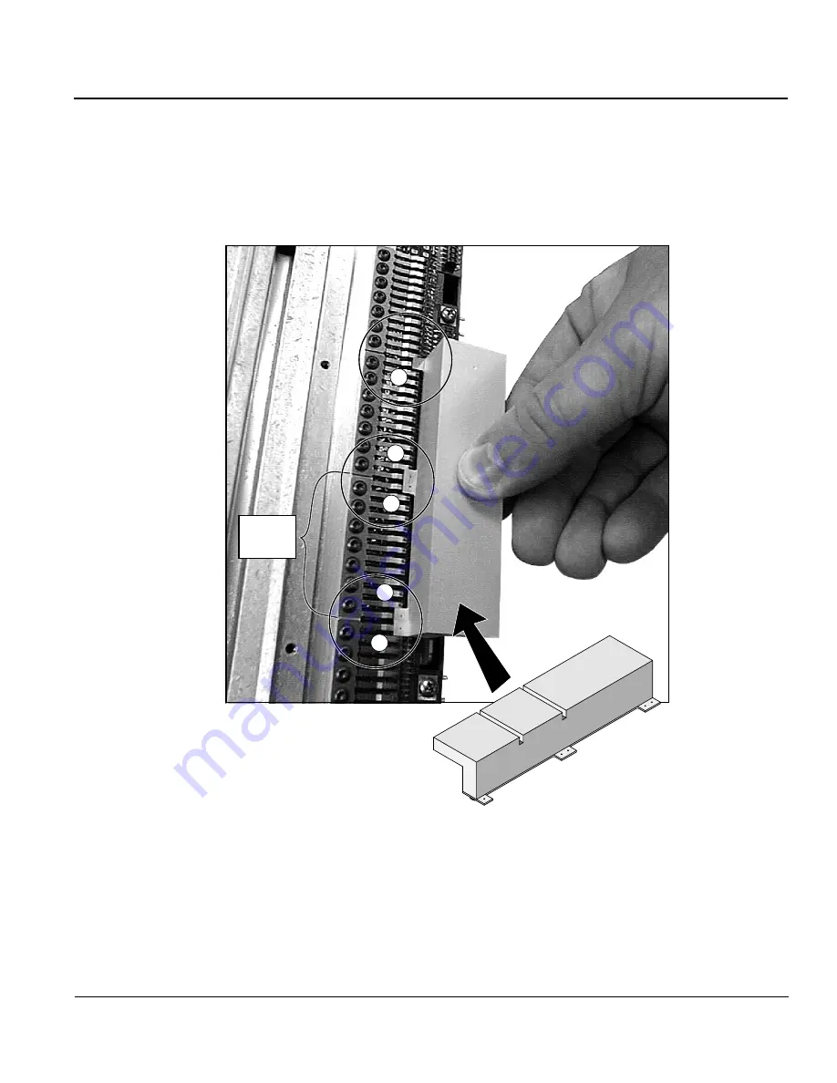 Tally T6215 Maintenance Manual Download Page 83