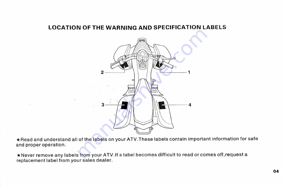 Tao Motor R250 Owner'S Manual Download Page 11