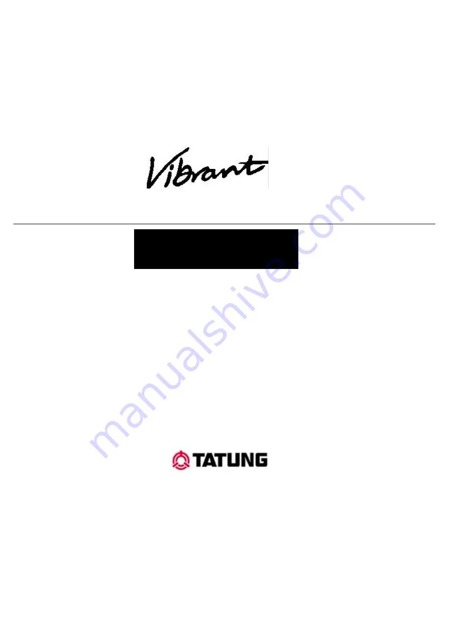 Tatung Vibrant VM99S Скачать руководство пользователя страница 1