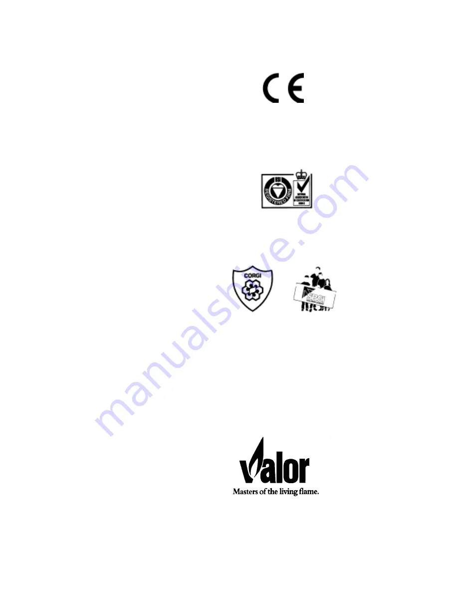 Valor Wonderfire BR417 Owner'S Manual Download Page 10