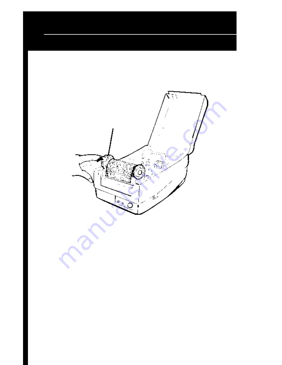 Wasp W-300 User Manual Download Page 12