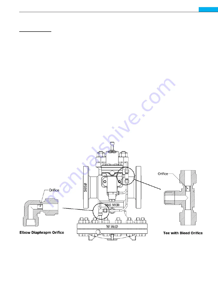 Watson McDaniel HSP Series Installation & Maintenance Manual Download Page 6