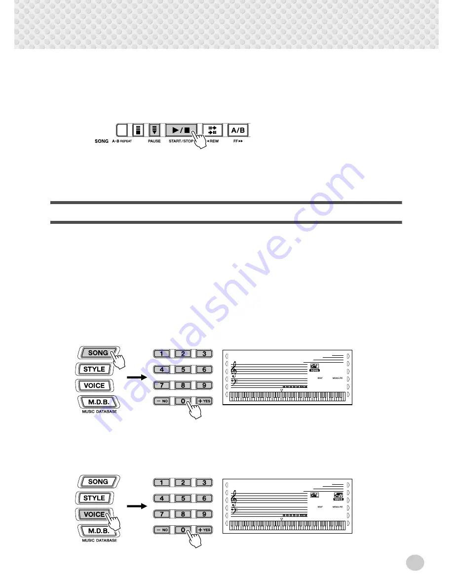 Yamaha Portable Grand DGX-300 Руководство Пользователя Download Page 59