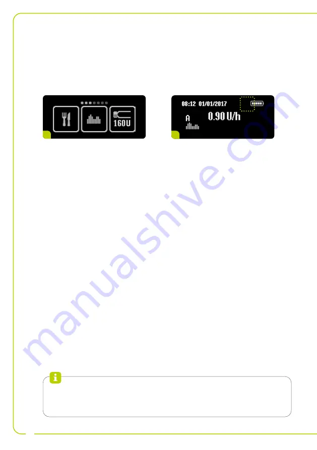 Ypsomed YpsoPump Manual Download Page 14