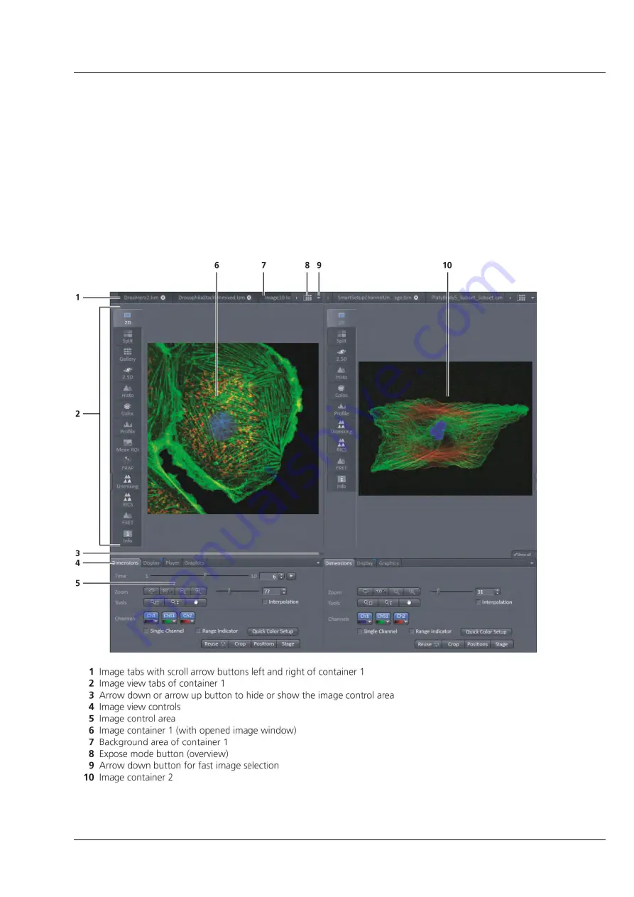 Zeiss LSM 880 Operating Manual Download Page 51