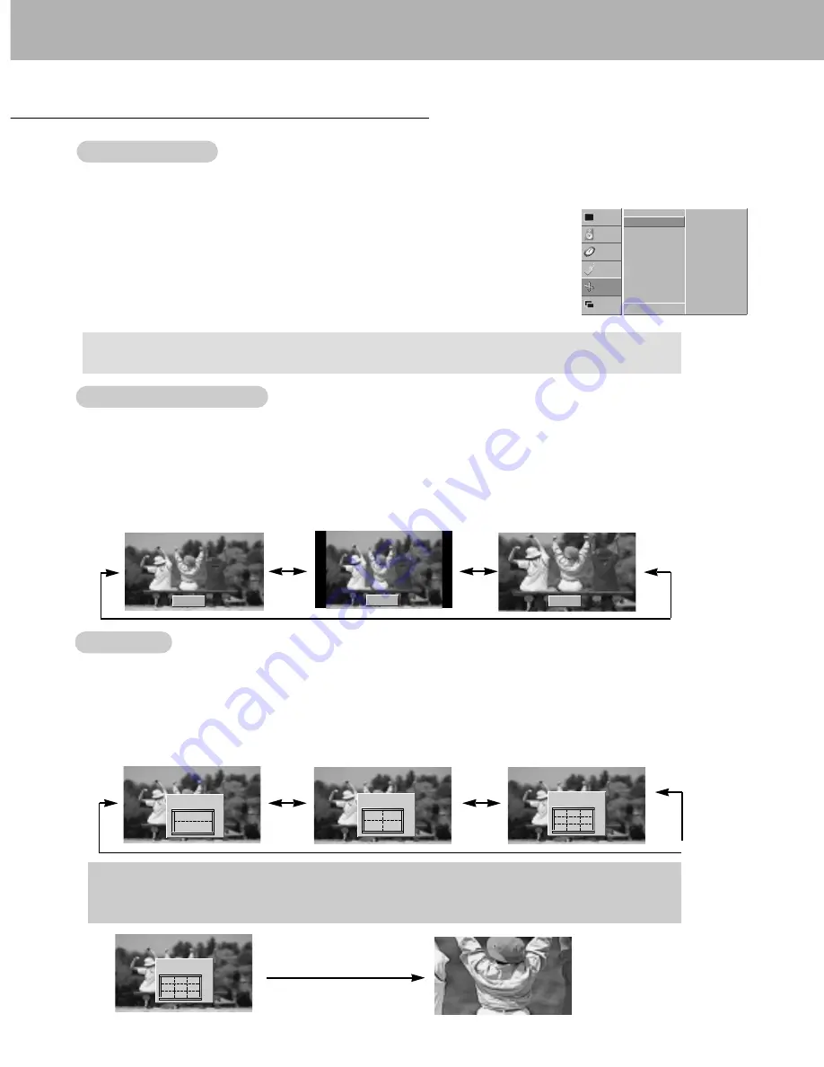 Zenith P50W28A Series Installation And Operating Manual Download Page 19